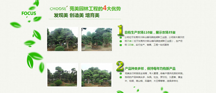 苑美园林营销型听泉鉴鲍
制作案例